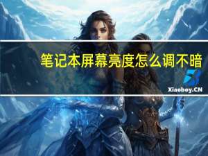 笔记本屏幕亮度怎么调不暗（笔记本屏幕亮度怎么调不）