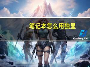 笔记本怎么用独显