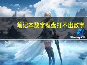 笔记本数字键盘打不出数字（笔记本数字键盘）