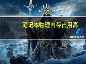 笔记本物理内存占用高（物理内存占用过高怎么解决）