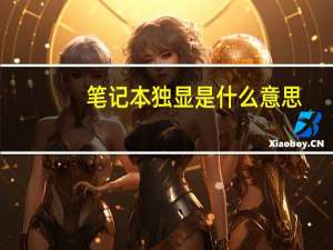 笔记本独显是什么意思（独显是什么意思）