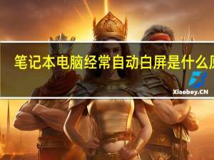 笔记本电脑经常自动白屏是什么原因