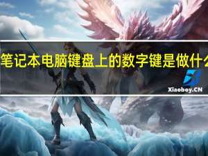 笔记本电脑键盘上的数字键是做什么用的