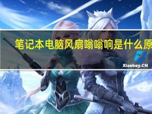 笔记本电脑风扇嗡嗡响是什么原因