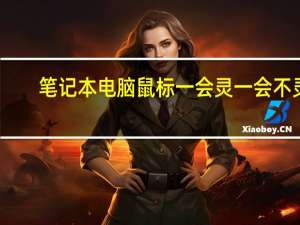 笔记本电脑鼠标一会灵一会不灵