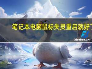 笔记本电脑鼠标失灵重启就好了（笔记本电脑鼠标失灵）