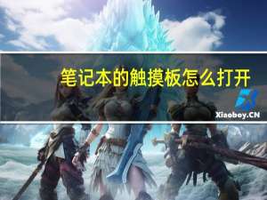 笔记本的触摸板怎么打开（笔记本的触摸板）
