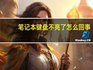 笔记本键盘不亮了怎么回事（笔记本键盘不能用了）