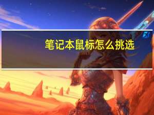笔记本鼠标怎么挑选