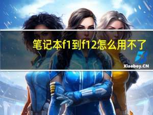 笔记本f1到f12怎么用不了（笔记本f1到f12怎么用）