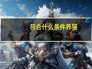 符合什么条件养猫