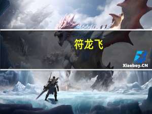 符龙飞（关于符龙飞的介绍）