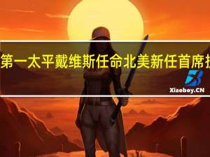 第一太平戴维斯任命北美新任首席执行官