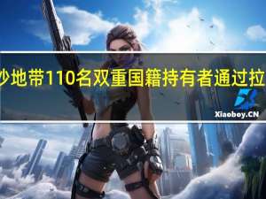 第一批加沙地带110名双重国籍持有者通过拉法口岸入境埃及