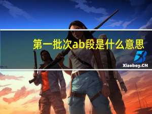 第一批次ab段是什么意思
