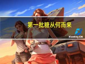 第一批糖从何而来