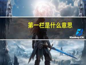 第一栏是什么意思