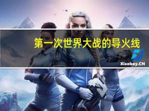 第一次世界大战的导火线