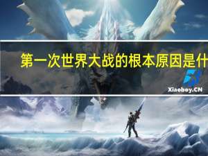 第一次世界大战的根本原因是什么