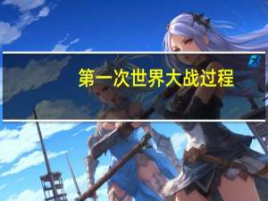 第一次世界大战过程