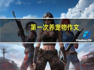 第一次养宠物作文