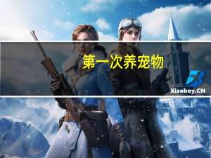 第一次养宠物