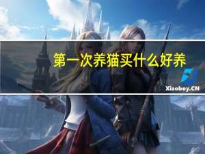 第一次养猫买什么好养