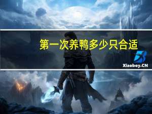 第一次养鸭多少只合适