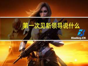 第一次见新领导说什么