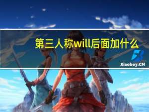 第三人称will后面加什么