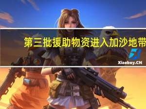 第三批援助物资进入加沙地带