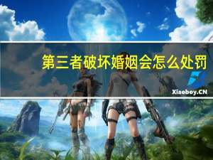 第三者破坏婚姻会怎么处罚