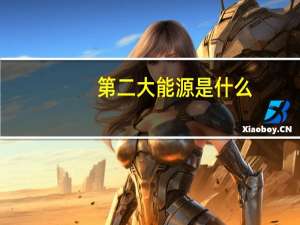 第二大能源是什么