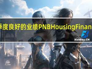 第二季度良好的业绩 PNB Housing Finance上涨13％