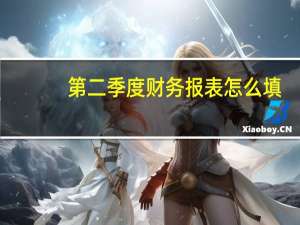 第二季度财务报表怎么填