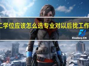 第二学位应该怎么选专业对以后找工作最有帮助