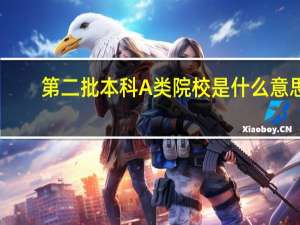 第二批本科A类院校是什么意思