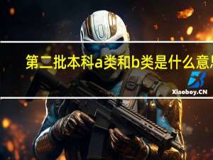 第二批本科a类和b类是什么意思