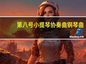 第八号小提琴协奏曲钢琴曲（第八号小提琴协奏曲）