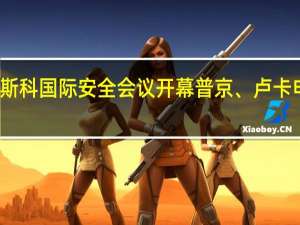 第十一届莫斯科国际安全会议开幕普京、卢卡申科发表视频致辞