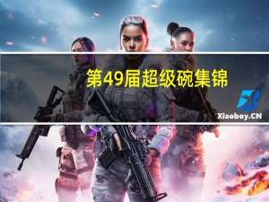 第49届超级碗集锦（第49届超级碗）