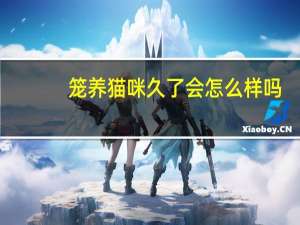 笼养猫咪久了会怎么样吗
