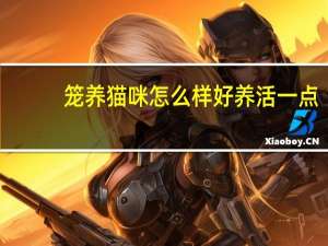 笼养猫咪怎么样好养活一点