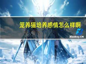笼养猫培养感情怎么样啊