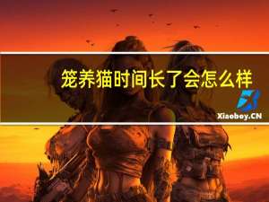 笼养猫时间长了会怎么样