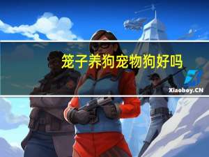 笼子养狗宠物狗好吗