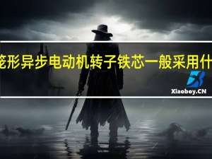 笼形异步电动机转子铁芯一般采用什么结构