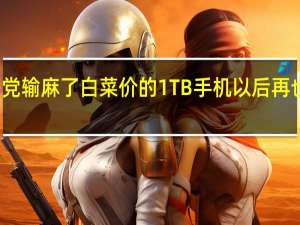 等等党输麻了 白菜价的1TB手机以后再也不会有了