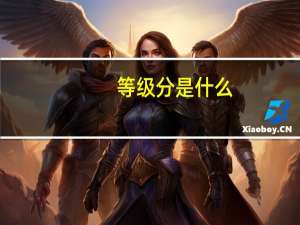 等级分是什么