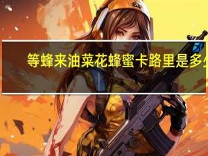 等蜂来 油菜花蜂蜜卡路里是多少